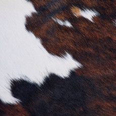 Cowhide Rug FEB26-015 (200cm x 210cm)