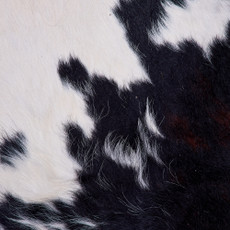 Cowhide Rug FEB26-019 (200cm x 170cm)