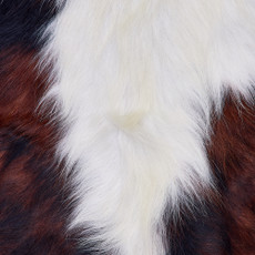 Cowhide Rug FEB26-021 (210cm x 190cm)