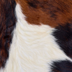 Cowhide Rug FEB26-025 (220cm x 210cm)