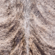 Cowhide Rug FEB26-033 (200cm x 210cm)