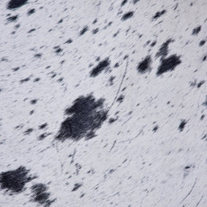 Cowhide Rug FEB26-034 (210cm x 190cm)