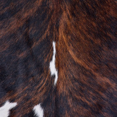 Cowhide Rug FEB26-042 (210cm x 200cm)