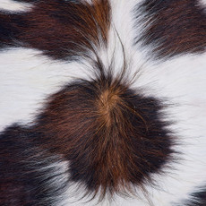 Cowhide Rug FEB26-046 (210cm x 210cm)