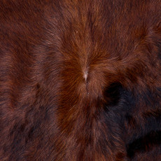 Cowhide Rug FEB26-049 (210cm x 220cm)