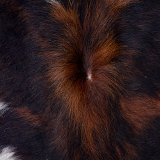 Cowhide Rug FEB26-050 (190cm x 170cm)