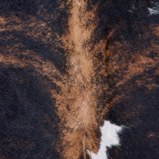 Cowhide Rug FEB26-055 (240cm x 210cm)