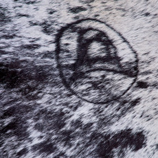 Cowhide Rug FEB26-061 (170cm x 170cm)