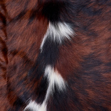 Cowhide Rug FEB26-077 (210cm x 200cm)