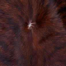 Cowhide Rug FEB26-080 (220cm x 200cm)