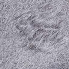 Cowhide Rug FEB26-081 (200cm x 180cm)