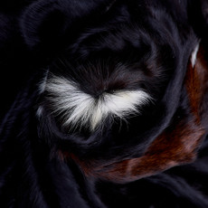 Cowhide Rug FEB26-083 (210cm x 210cm)