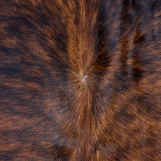 Cowhide Rug FEB26-090 (220cm x 200cm)