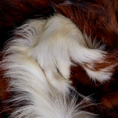 Cowhide Rug FEB26-096 (180cm x 150cm)