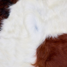 Cowhide Rug FEB26-100 (220cm x 200cm)