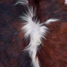 Cowhide Rug FEB26-103 (220cm x 200cm)