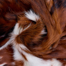 Cowhide Rug FEB26-105 (220cm x 210cm)