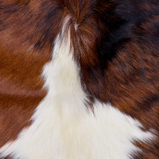 Cowhide Rug FEB26-112 (210cm x 190cm)