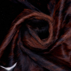 Cowhide Rug FEB26-113 (220cm x 200cm)