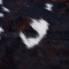 Cowhide Rug FEB26-113 (220cm x 200cm)