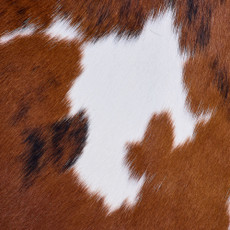 Cowhide Rug FEB26-117 (190cm x 180cm)