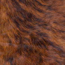 Cowhide Rug FEB26-119 (240cm x 210cm)