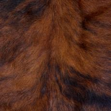 Cowhide Rug FEB26-126 (180cm x 170cm)