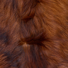 Cowhide Rug FEB26-135 (220cm x 200cm)