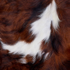 Cowhide Rug FEB26-147 (190cm x 160cm)