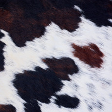 Cowhide Rug AUG26-003 (220cm x 190cm)