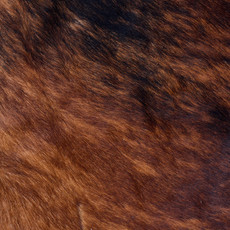 Cowhide Rug AUG26-004 (210cm x 180cm)
