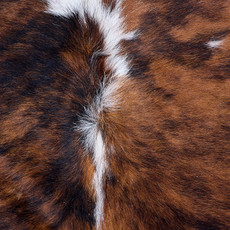 Cowhide Rug AUG26-010 (200cm x 190cm)