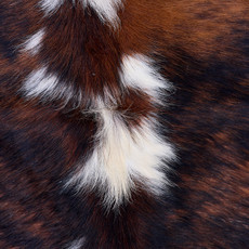 Cowhide Rug AUG26-020 (200cm x 190cm)