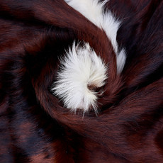 Cowhide Rug AUG26-025 (200cm x 190cm)