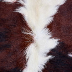 Cowhide Rug AUG26-025 (200cm x 190cm)