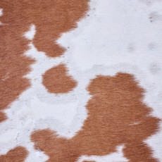 Cowhide Rug AUG26-027 (240cm x 220cm)