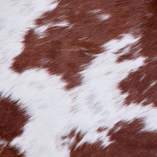 Cowhide Rug AUG26-028 (240cm x 230cm)