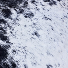 Cowhide Rug AUG26-032 (220cm x 190cm)