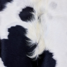 Cowhide Rug AUG26-049 (250cm x 210cm)