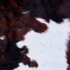 Cowhide Rug AUG26-052 (200cm x 190cm)
