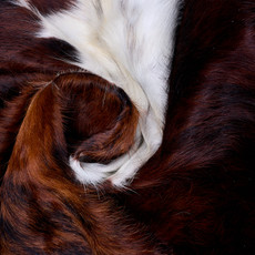 Cowhide Rug AUG26-053 (230cm x 210cm)