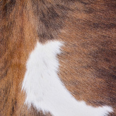 Cowhide Rug AUG26-057 (190cm x 170cm)