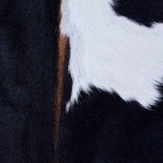 Cowhide Rug AUG26-058 (220cm x 190cm)