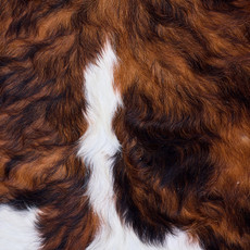 Cowhide Rug AUG26-062 (210cm x 200cm)