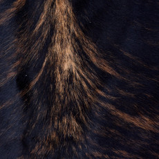 Cowhide Rug AUG26-067 (200cm x 180cm)