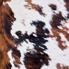 Cowhide Rug AUG26-070 (210cm x 170cm)