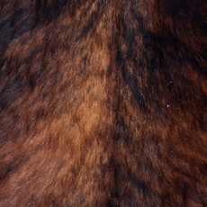Cowhide Rug AUG26-082 (230cm x 200cm)