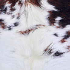 Cowhide Rug AUG26-084 (170cm x 180cm)