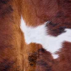 Cowhide Rug AUG26-086 (200cm x 180cm)