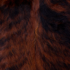 Cowhide Rug AUG26-088 (200cm x 190cm)